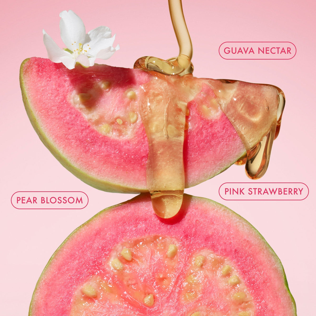 Body Butter Balm Pink Guava
